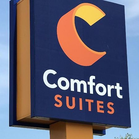 Comfort Suites Near Route 66 Springfield Exteriör bild